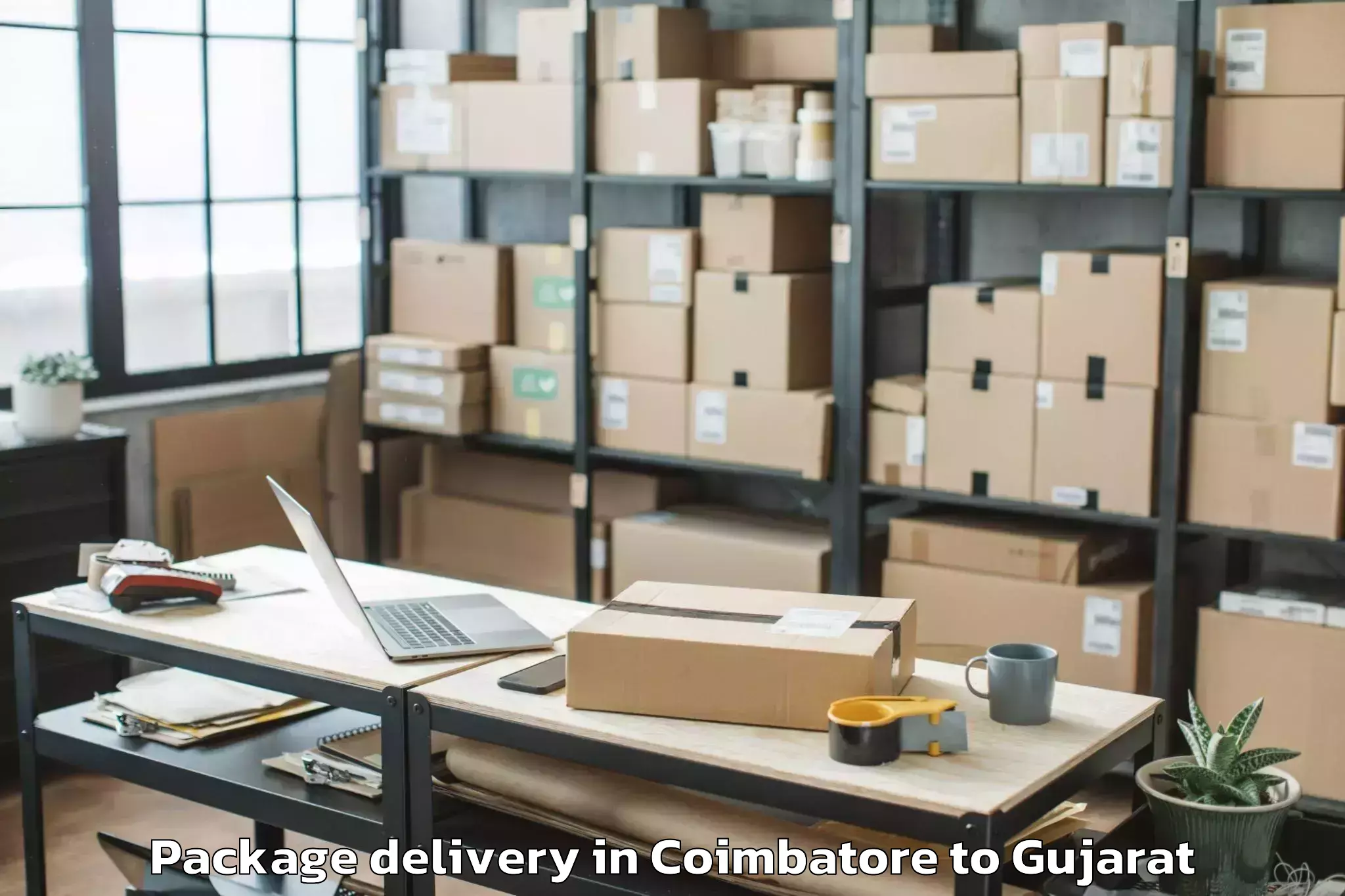 Discover Coimbatore to Halvad Package Delivery